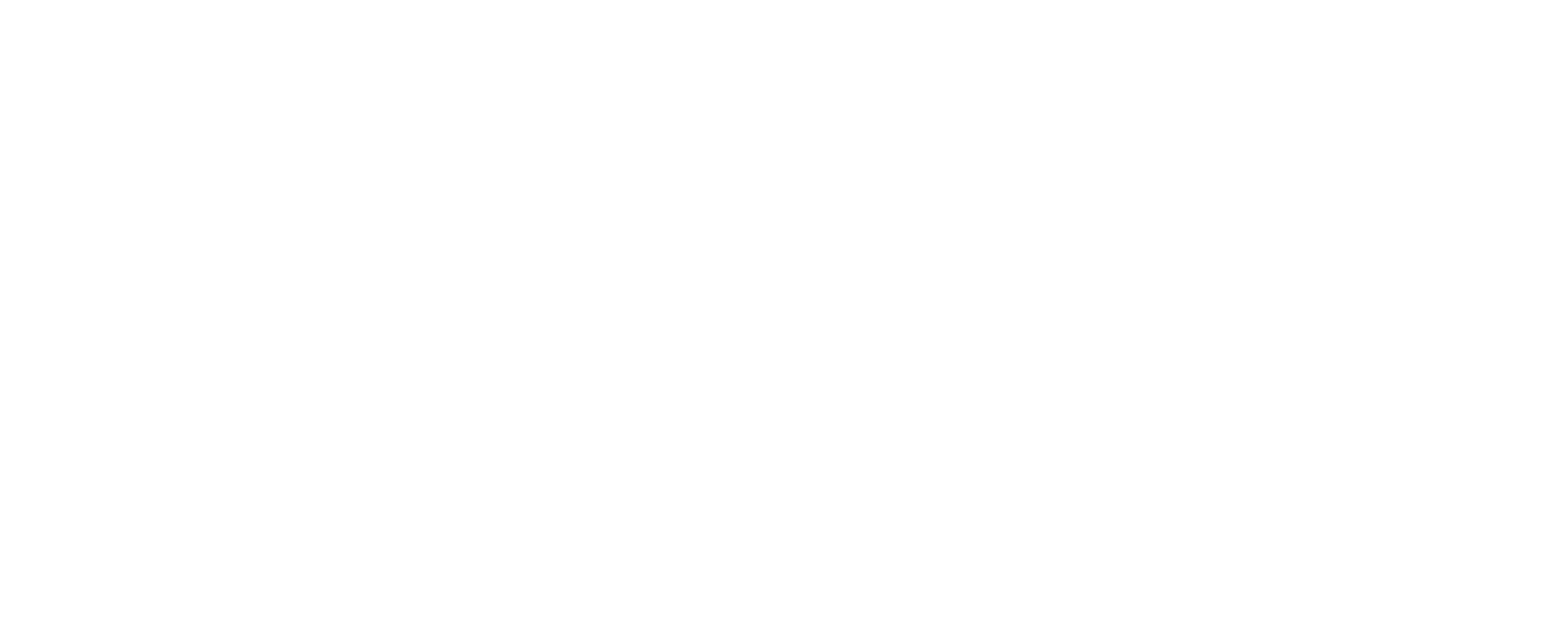 ks logo white 01 scaled